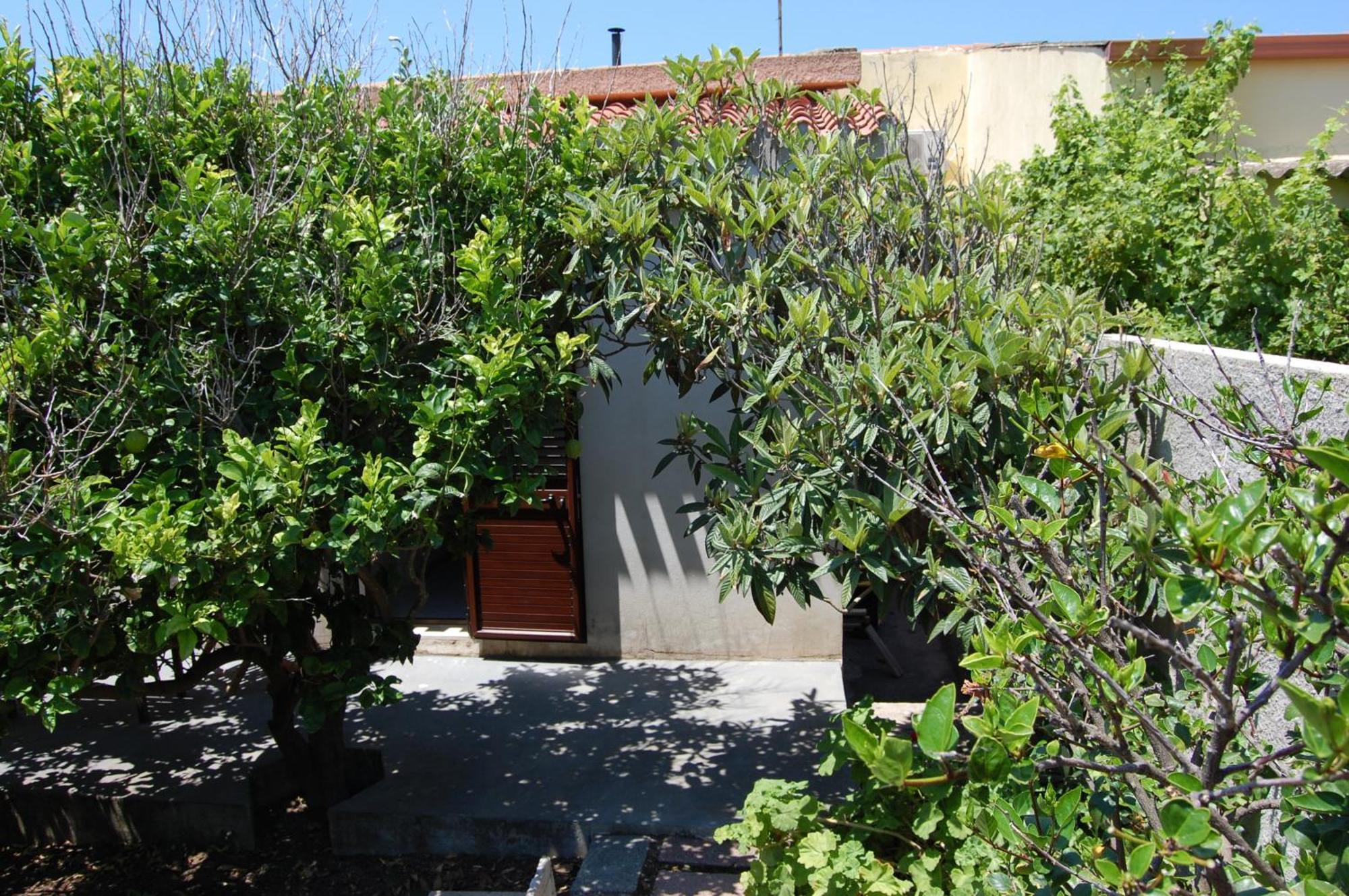 Andrea E Valentina Bed & Breakfast S'archittu Cuglieri Ngoại thất bức ảnh