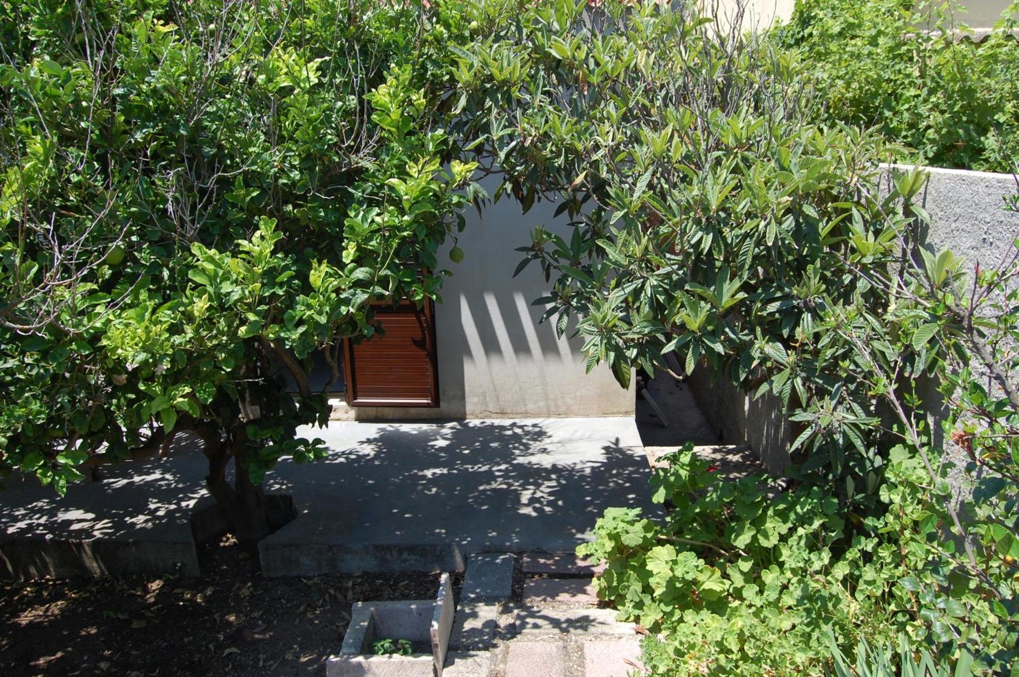 Andrea E Valentina Bed & Breakfast S'archittu Cuglieri Ngoại thất bức ảnh